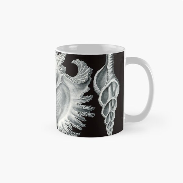 Item preview, Ernst Haeckel - Prosobranchia designed and sold by ShaMiLaB.