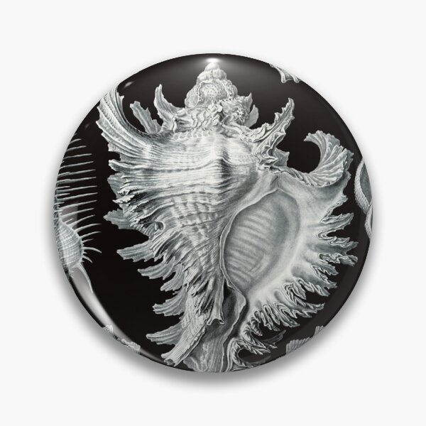 Item preview, Ernst Haeckel - Prosobranchia designed and sold by ShaMiLaB.