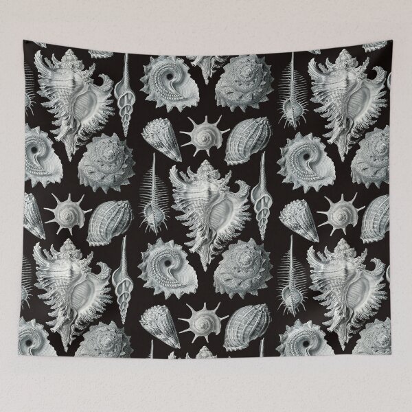 Item preview, Ernst Haeckel - Prosobranchia designed and sold by ShaMiLaB.