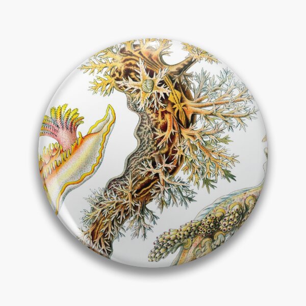 Item preview, Ernst Haeckel - Nudibranchia (Snails) designed and sold by ShaMiLaB.