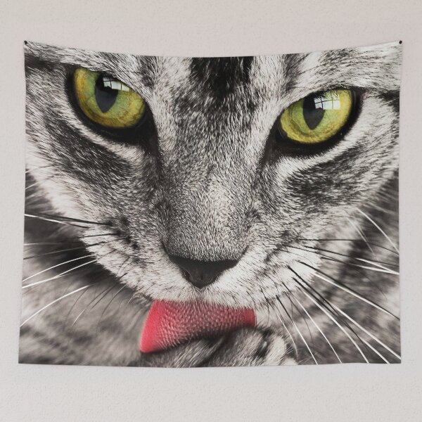 Item preview, Cat Close Up Licking Paw designed and sold by AABUZ.