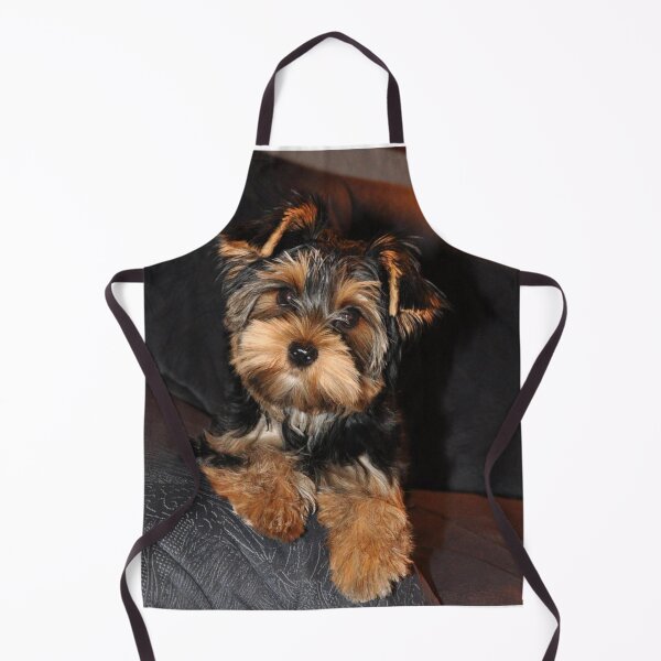 Cute Yorkshire Terrier Dog Apron