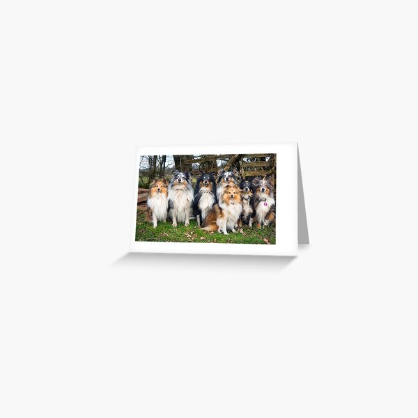 Alison/'s Animals Funny Basset Hound Dog Lovers Blank Birthday Greeting Card