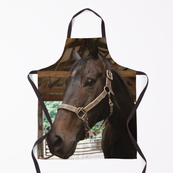 Item preview, I'm handsome and I know it designed and sold by KensLensDesigns.