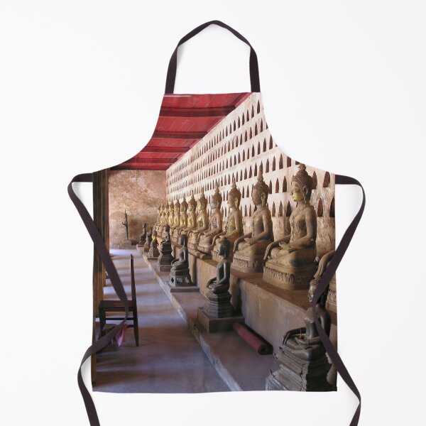 Item preview, Siting Buddha Statues Buddist Temple, Vientiane, Laos designed and sold by worldways.