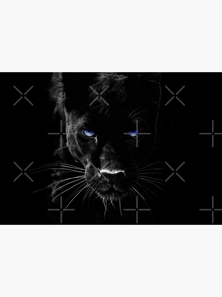 BLACK PANTHER by Paparaw