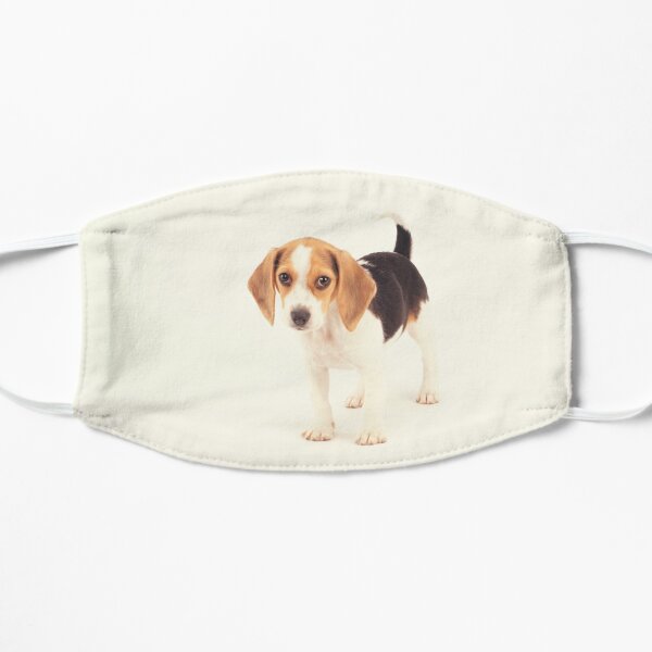 Beagle Dog Gift Mask