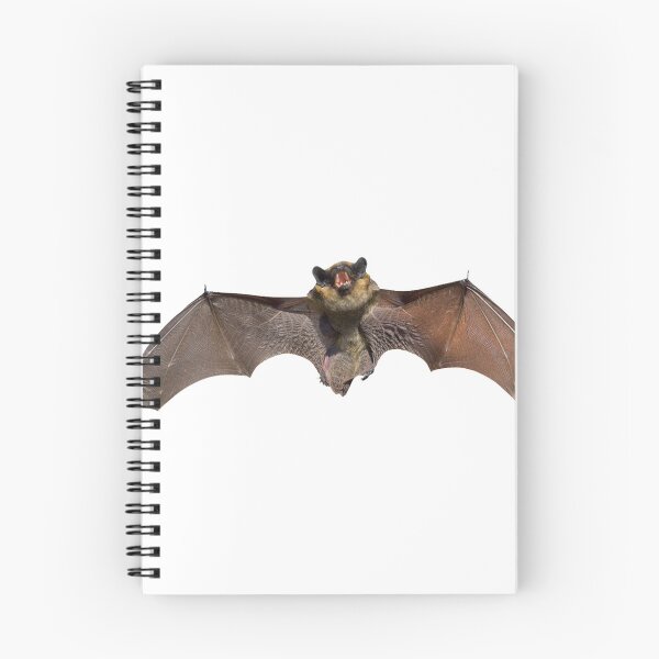 Item preview, Megabat designed and sold by joeyth.