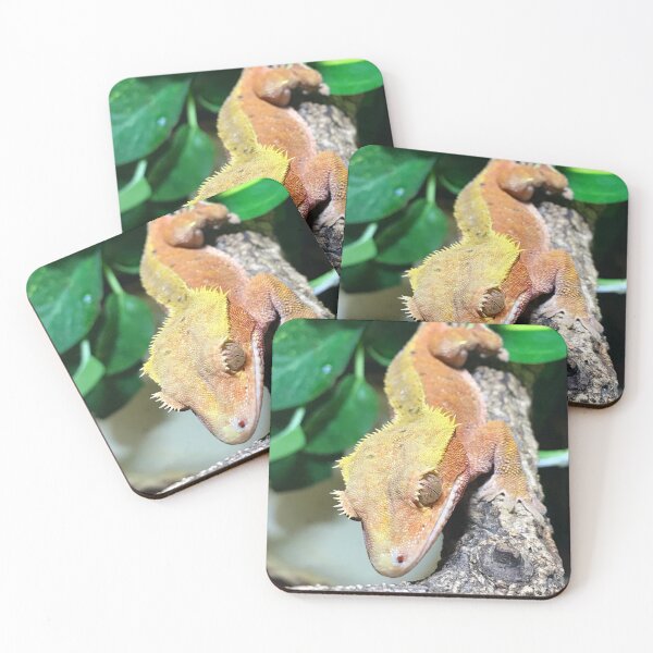 Item preview, Red and Yellow Crested gecko designed and sold by bubbaclez.