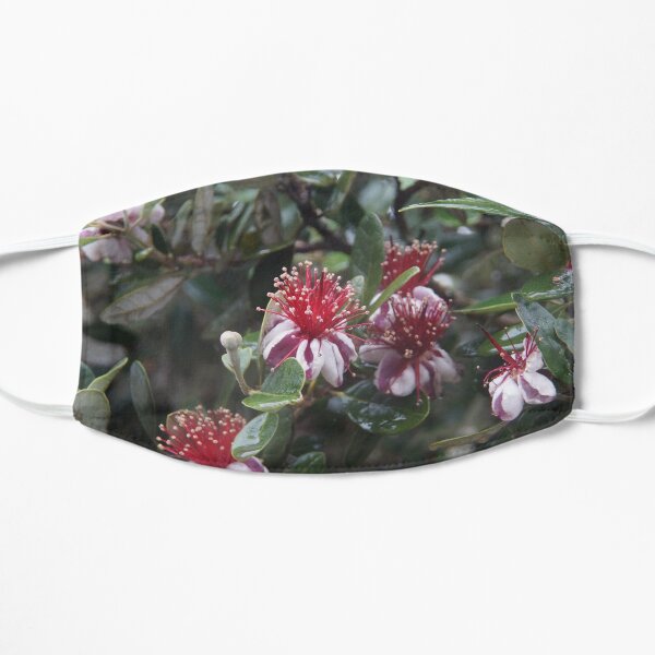 Feijoa - Magpie Springs - Adelaide Hills Wine Region - Fleurieu Peninsula by South Australian artist Avril Thomas Mask