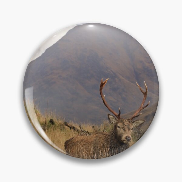 Item preview, Deer in the Scottish Highlands designed and sold by bitm2007.