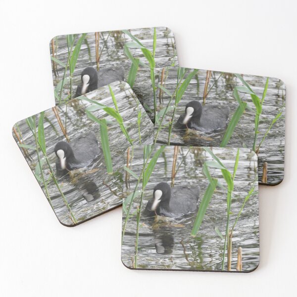 Item preview, coot coot designed and sold by TinequeW.