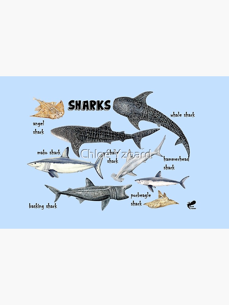 Discover Sharks for shark lovers Bath Mat