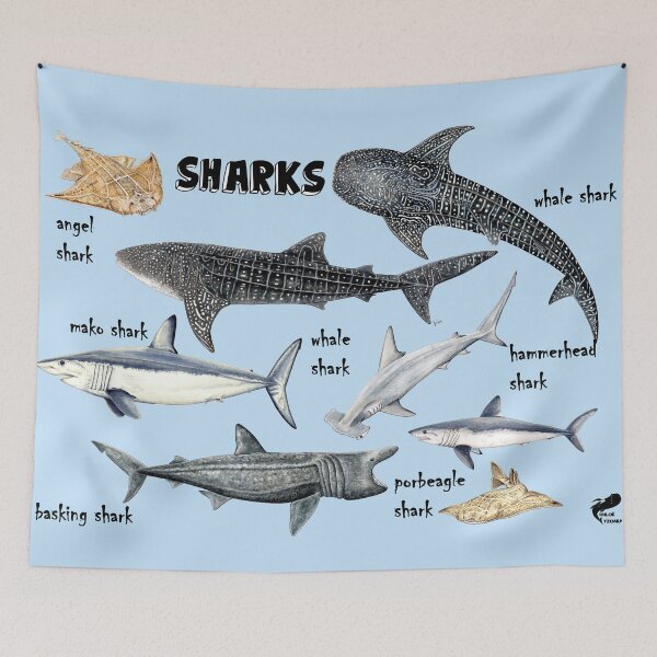 Item preview, Sharks for shark lovers designed and sold by chloeyzoard.
