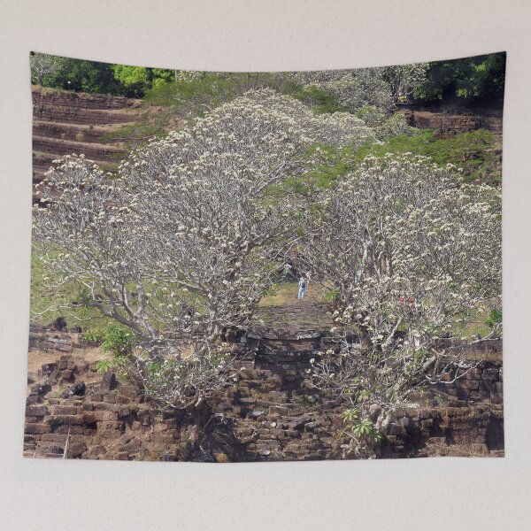 Item preview, Flowering Blooming Tree, Champasak, Khmer temple complex, Laos designed and sold by worldways.