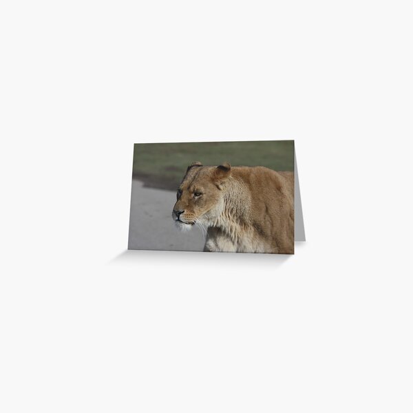 Lion Queen! Greeting Card