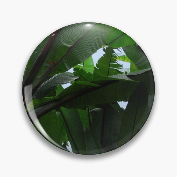 Item preview, Green Banana Tree Leaves  designed and sold by worldways.