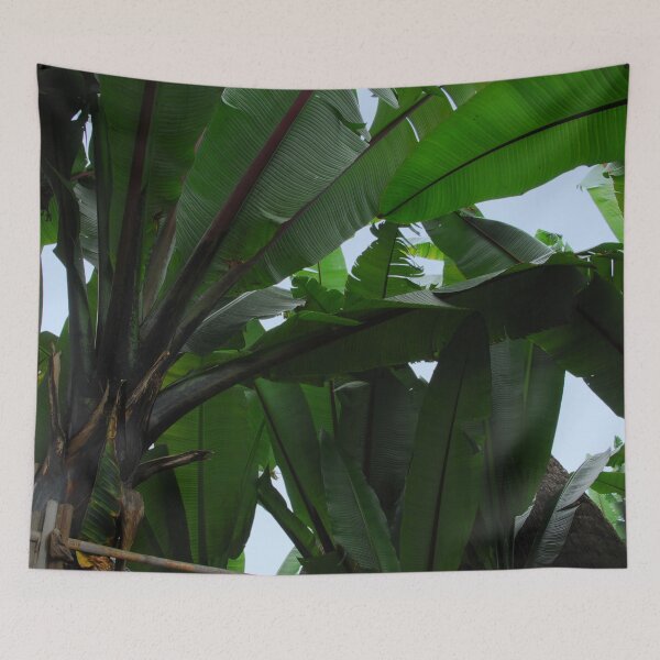 Item preview, Green Banana Tree Leaves  designed and sold by worldways.