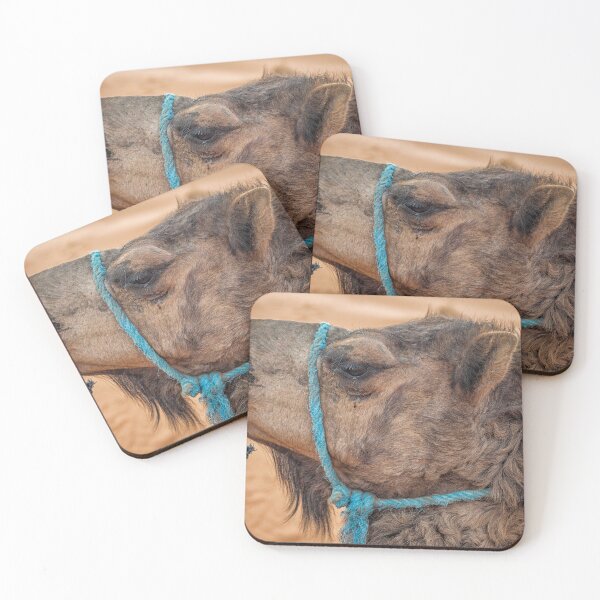 Item preview, Camel head designed and sold by Photopat.
