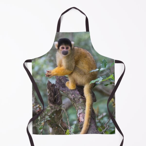 Item preview, Black-Capped Squirrel Monkey (Saimiri boliviensis) designed and sold by Yair Karelic.