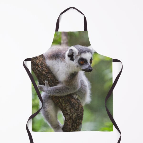 Item preview, Ring-Tailed Lemur (Lemur catta) designed and sold by Yair Karelic.
