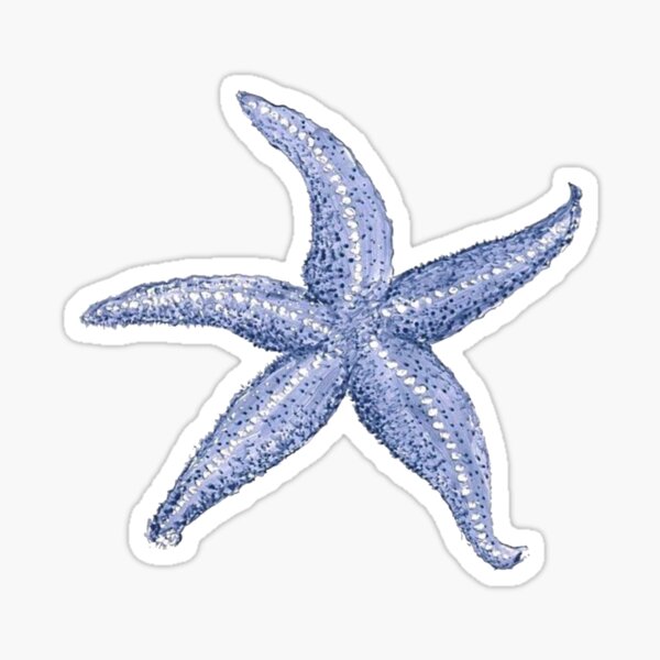 Star Estetica Sticker by Estrella Aesthetic for iOS & Android