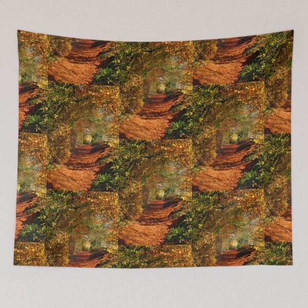 Item preview, Autumn Leaves And Trees designed and sold by Paul Thompson Photography.