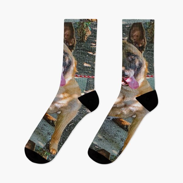 Item preview, German shepherd - dog designed and sold by Luci3120.