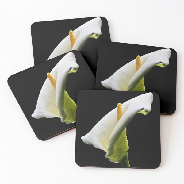 Item preview, Arum lily. designed and sold by John Ray.