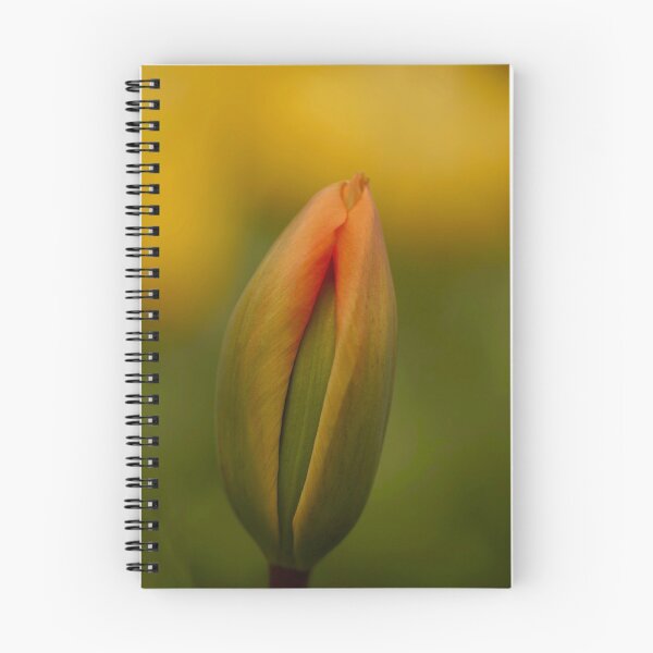 Item preview, Tulip in the light of Daffodils  designed and sold by Helen  Kelly.