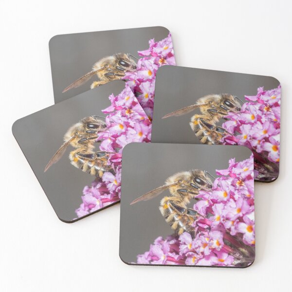 Item preview, Bee on Buddleia designed and sold by Adrian Rowley.