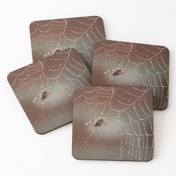 Item preview, Spider Weaving a Web designed and sold by Gilda Axelrod.