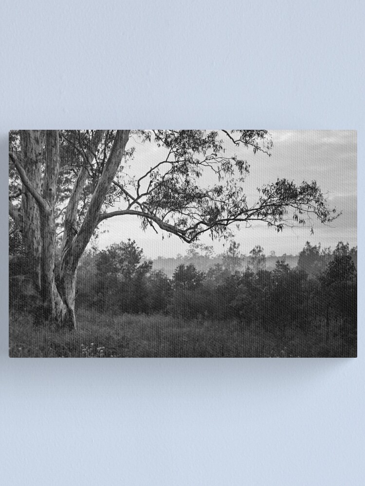 Alternate view of The old gum tree Canvas Print