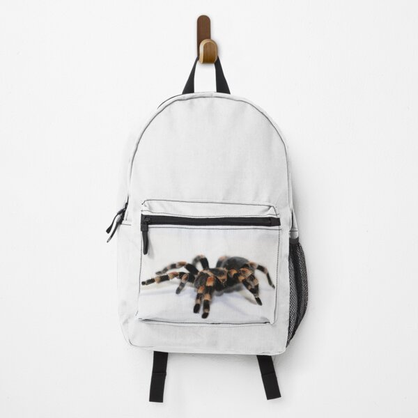 Item preview, Tarantula designed and sold by misimichu.