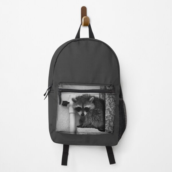 Item preview, Raccoon designed and sold by misimichu.