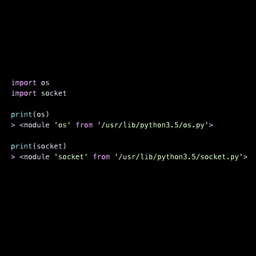 Artwork thumbnail, Python Find Operating System Socket Path by BalfrogClothing
