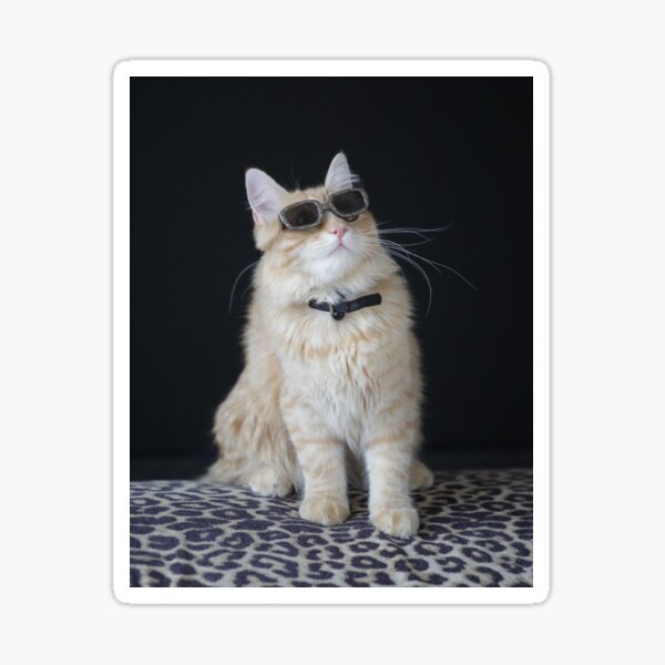 Samson in sunglesses Sticker