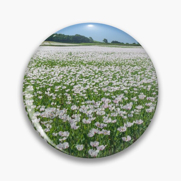 Artikelvorschau, Field of Opium Poppies (Dorset) entworfen und verkauft von bitm2007.