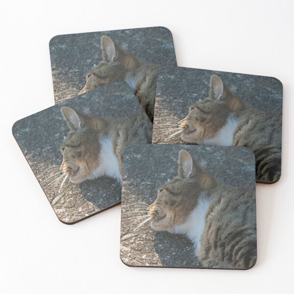 Item preview, White and grey cat designed and sold by TomInWales.