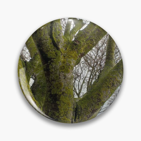 Item preview, Mossy Bare Tree Winter Cloudy Sky designed and sold by Anna Lemos.