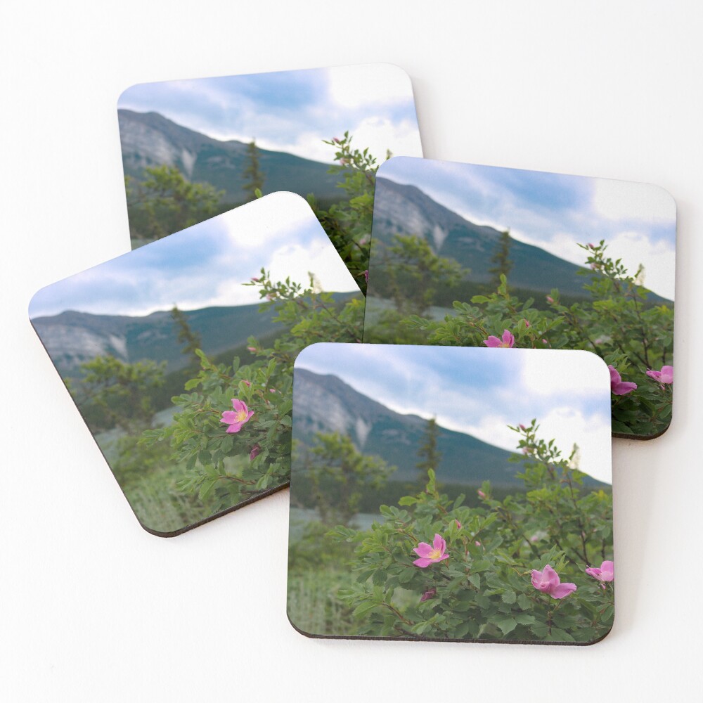 Item preview, Coasters (Set of 4) designed and sold by OhSnapPhoto.