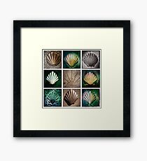 Camino Frances Pavement Markers Framed Print