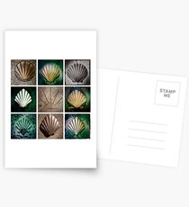Camino Frances Pavement Markers Postcards