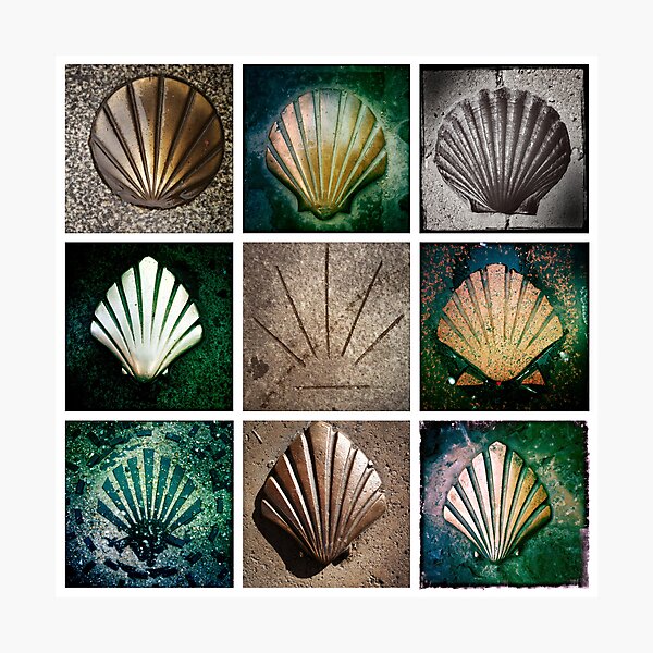 Camino Frances Pavement Markers Photographic Print