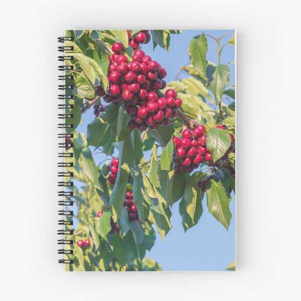 Item preview, Branches of Ripe Okanagan Cherries Blue Sky designed and sold by Amy Mitchell.