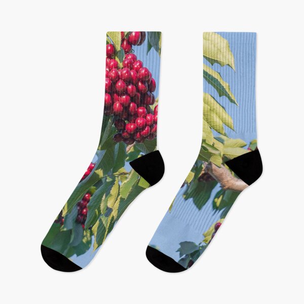 Item preview, Branches of Ripe Okanagan Cherries Blue Sky designed and sold by Amy Mitchell.