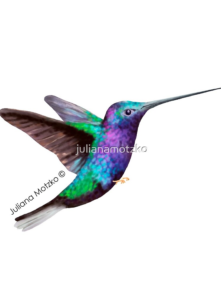 Hummingbird by julianamotzko