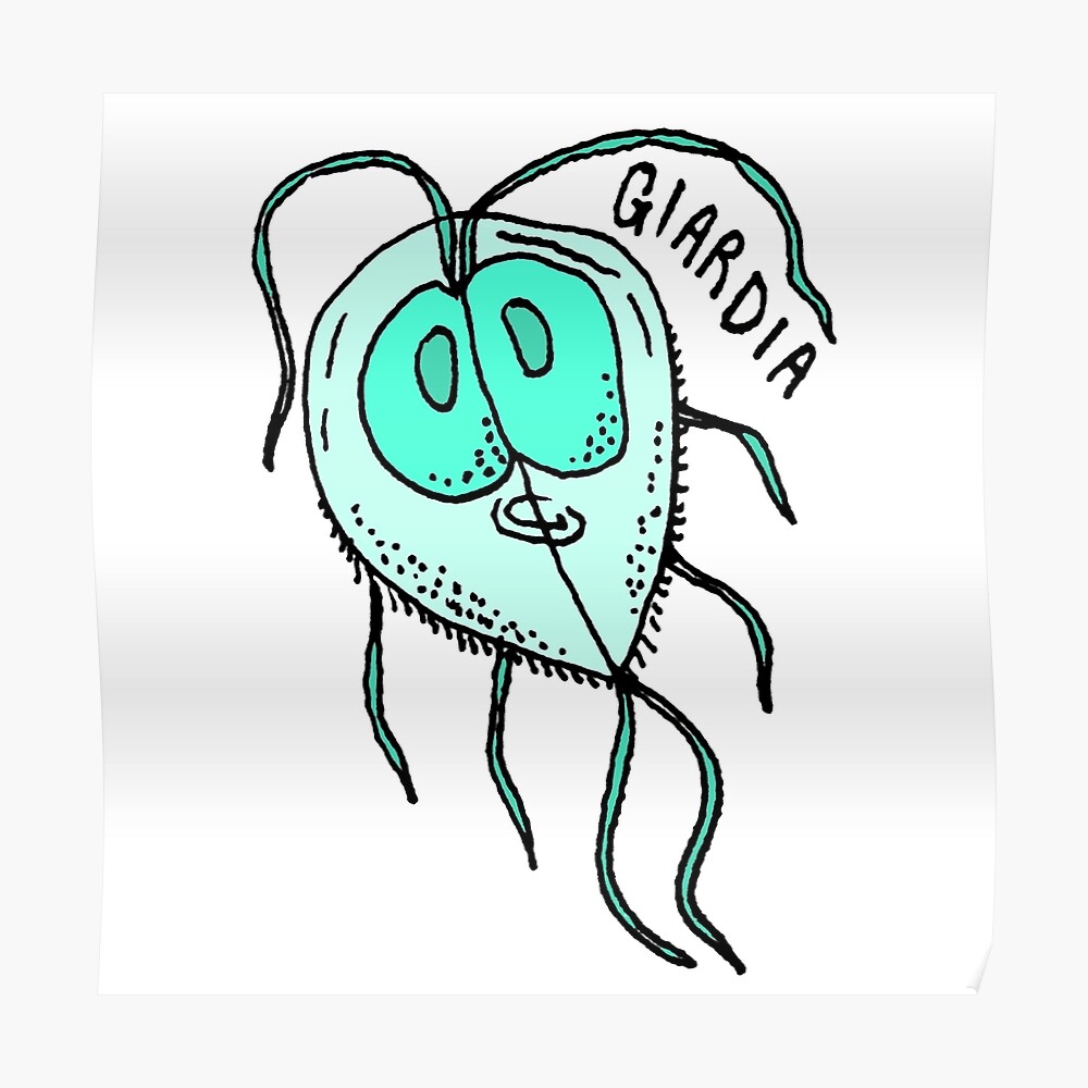 Giardia Parasite Biology Cartoon 