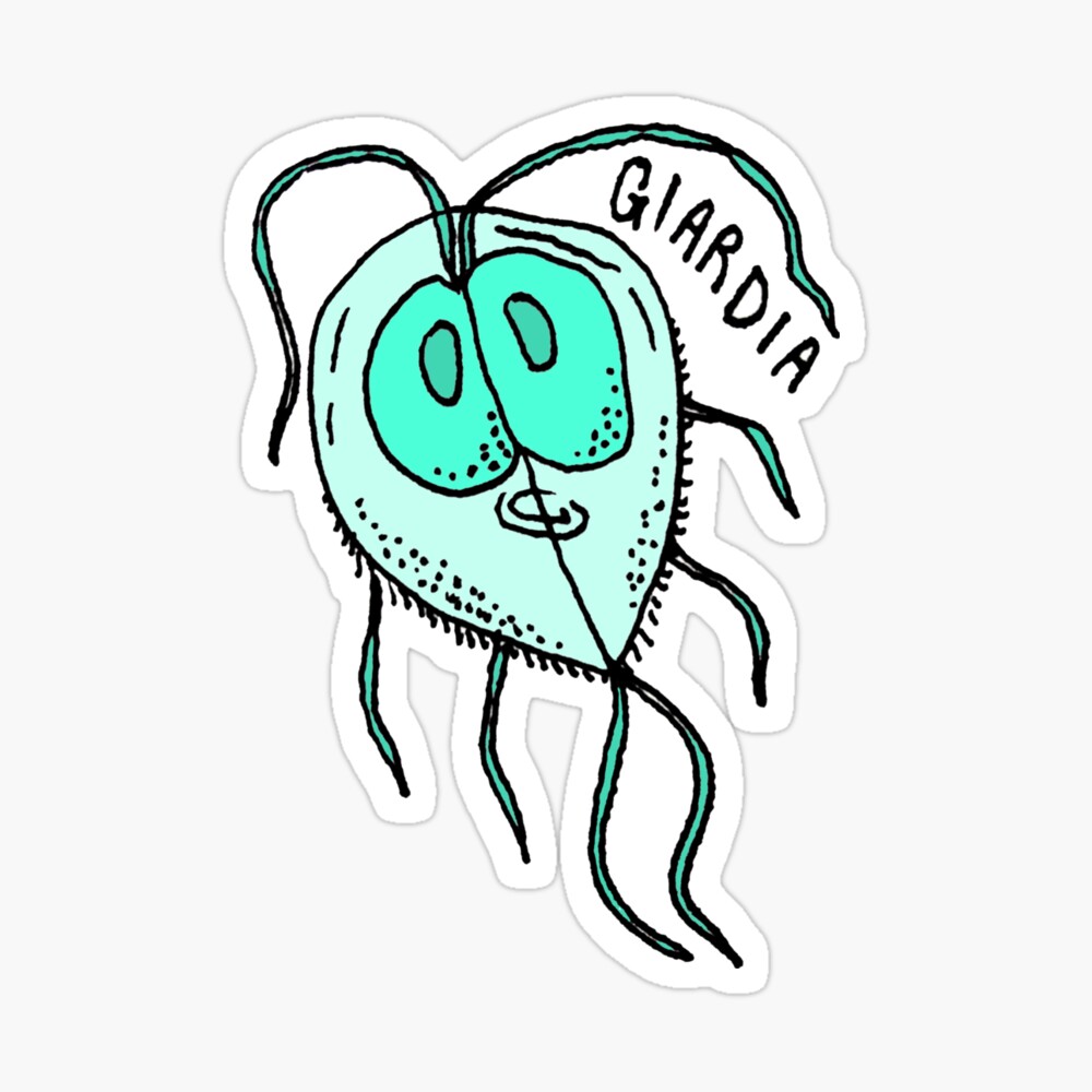 Lámina fotográfica «Giardia Parásito Biología De Dibujos Animados» de FreshCrayonsArt | Redbubble Lámina fotográfica «Giardia Parásito Biología De Dibujos Animados» de FreshCrayonsArt | Redbubble