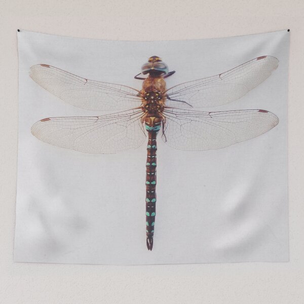 Item preview, Dragonfly designed and sold by Cassia Beck.